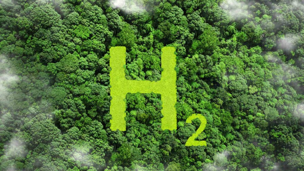 La rénovation énergétique et son enjeu écologique